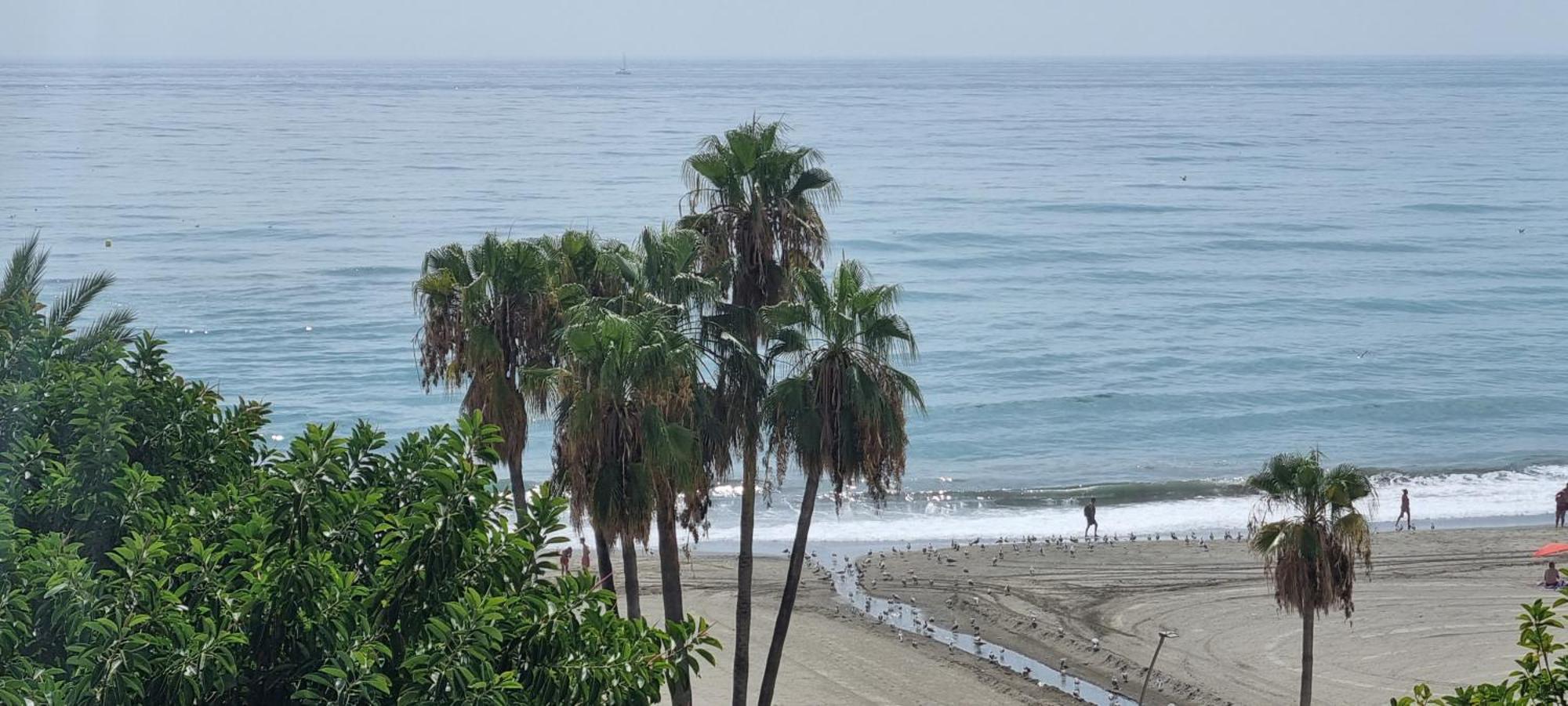 Apartamentos Real 81 Estepona Exteriör bild